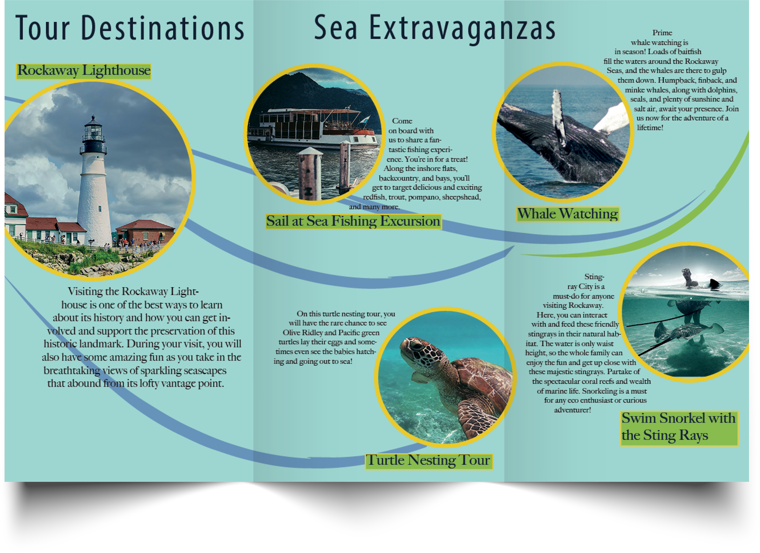 Inside of Print Brochure, gate fold for a business following its brand